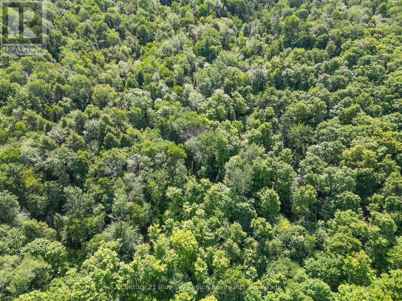 Lot 184 Alsace Road, Nipissing, Ontario  P0H 1W0 - Photo 10 - X12302104