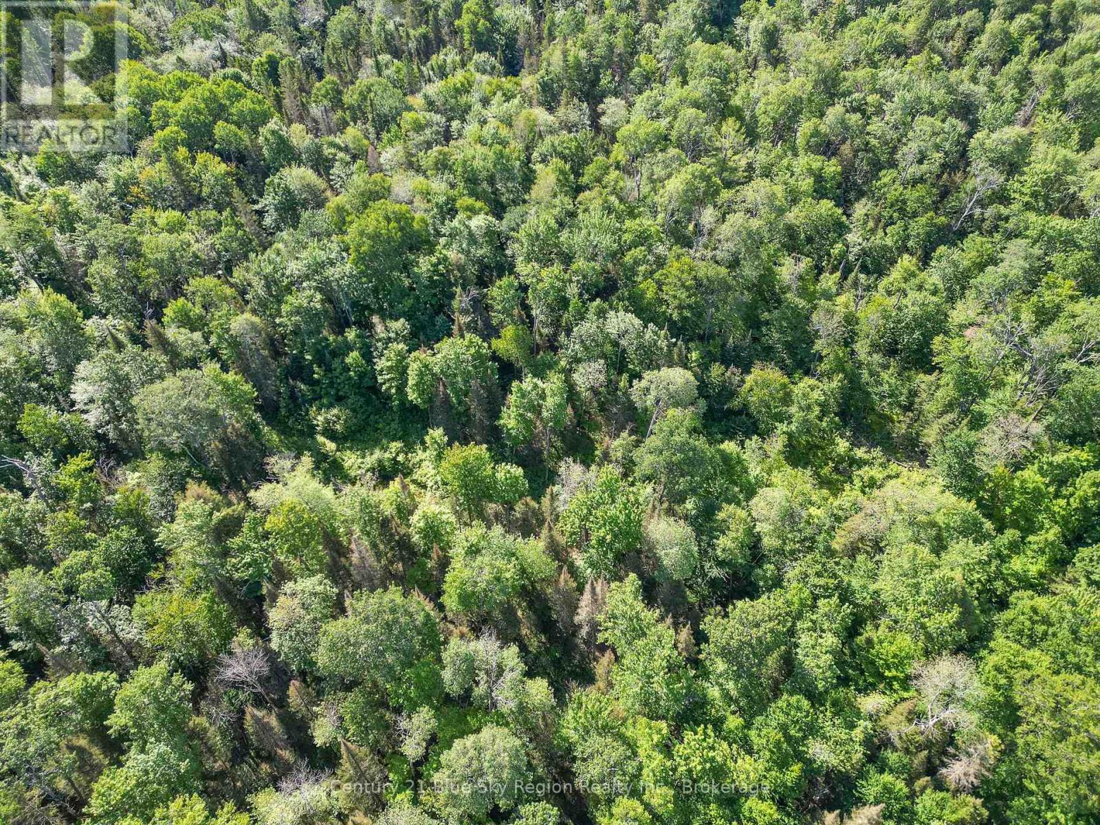 Lot 184 Alsace Road, Nipissing, Ontario  P0H 1W0 - Photo 8 - X12302104