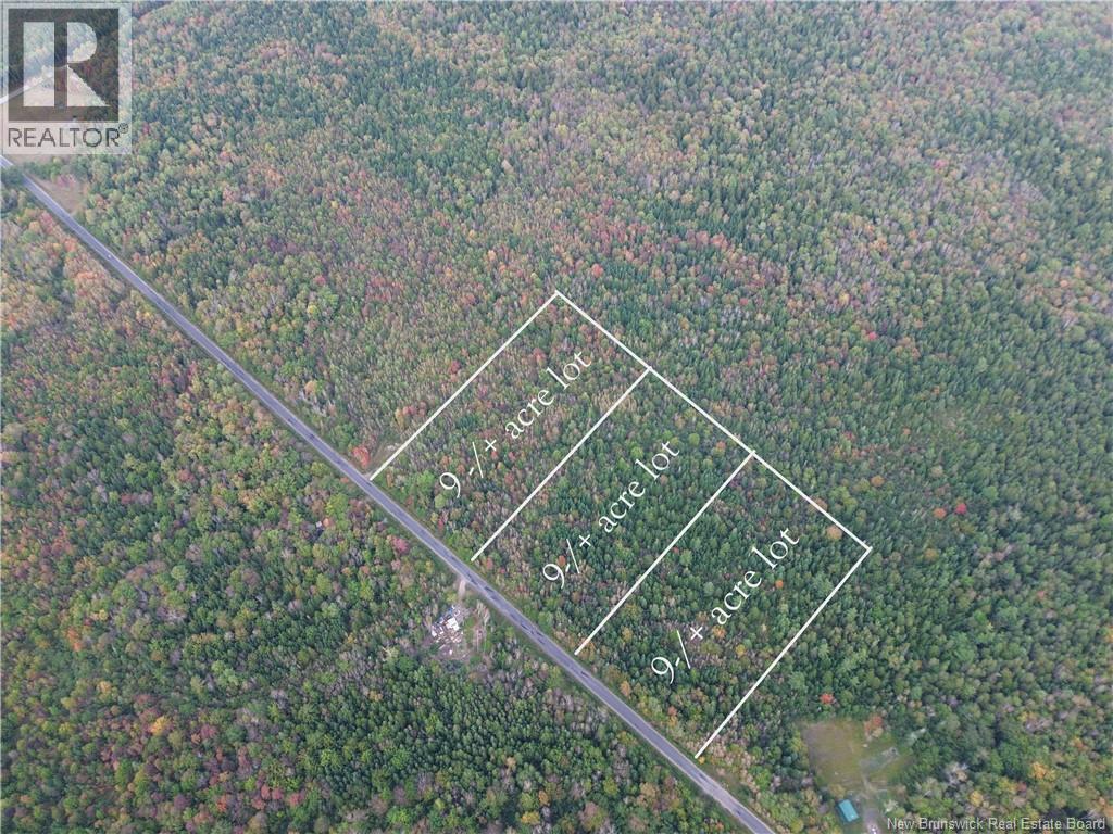 Lot 1 Bronson Sett Road, Bronson Settlement, New Brunswick  O0O 0O0 - Photo 2 - NB126978
