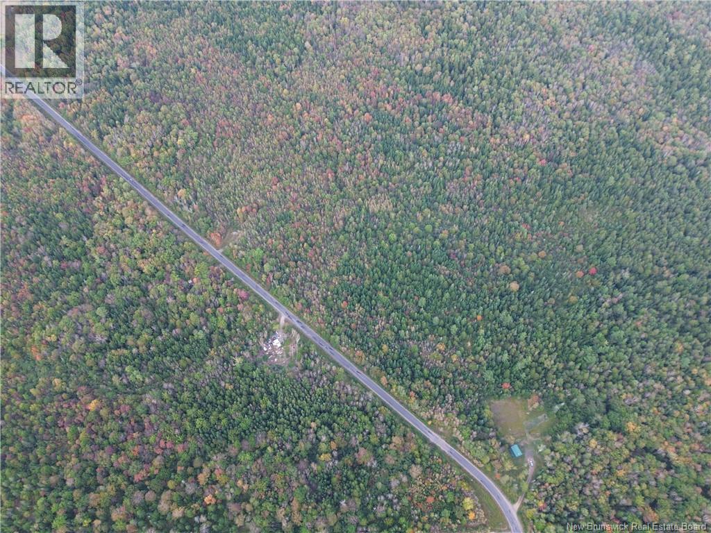 Lot 1 Bronson Sett Road, Bronson Settlement, New Brunswick  O0O 0O0 - Photo 6 - NB126978