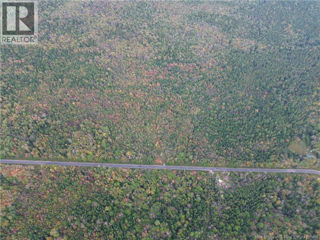 Lot 1 Bronson Sett Road, Bronson Settlement, New Brunswick  O0O 0O0 - Photo 5 - NB126978