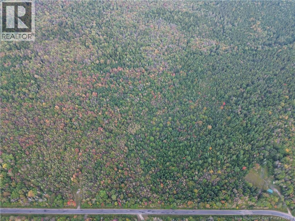 Lot 1 Bronson Sett Road, Bronson Settlement, New Brunswick  O0O 0O0 - Photo 3 - NB126978