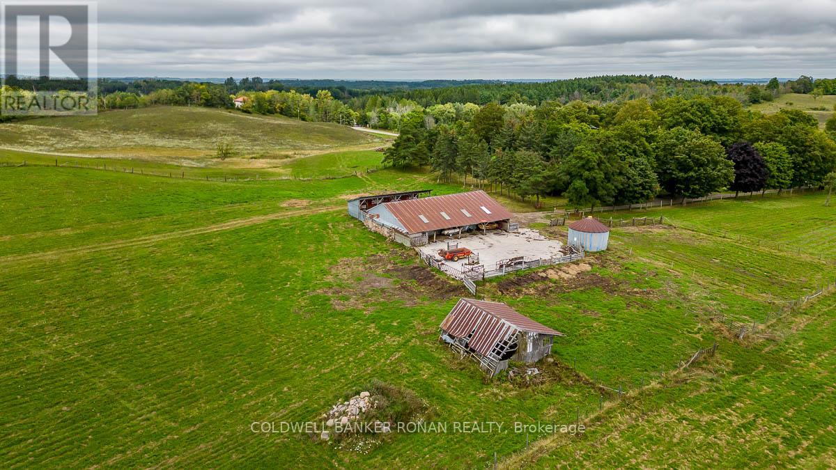 1918 Concession Rd 2, Adjala-Tosorontio, Ontario  L0N 1P0 - Photo 39 - N12412214