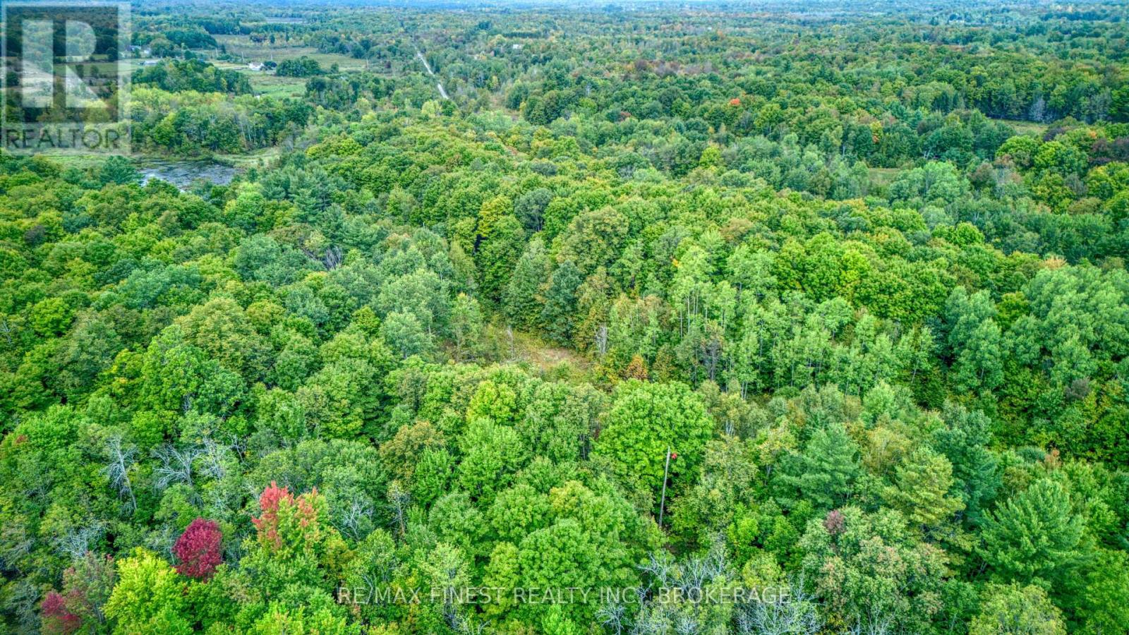 00 Armstrong Line, Tay Valley, Ontario  K0H 2B0 - Photo 20 - X12412609