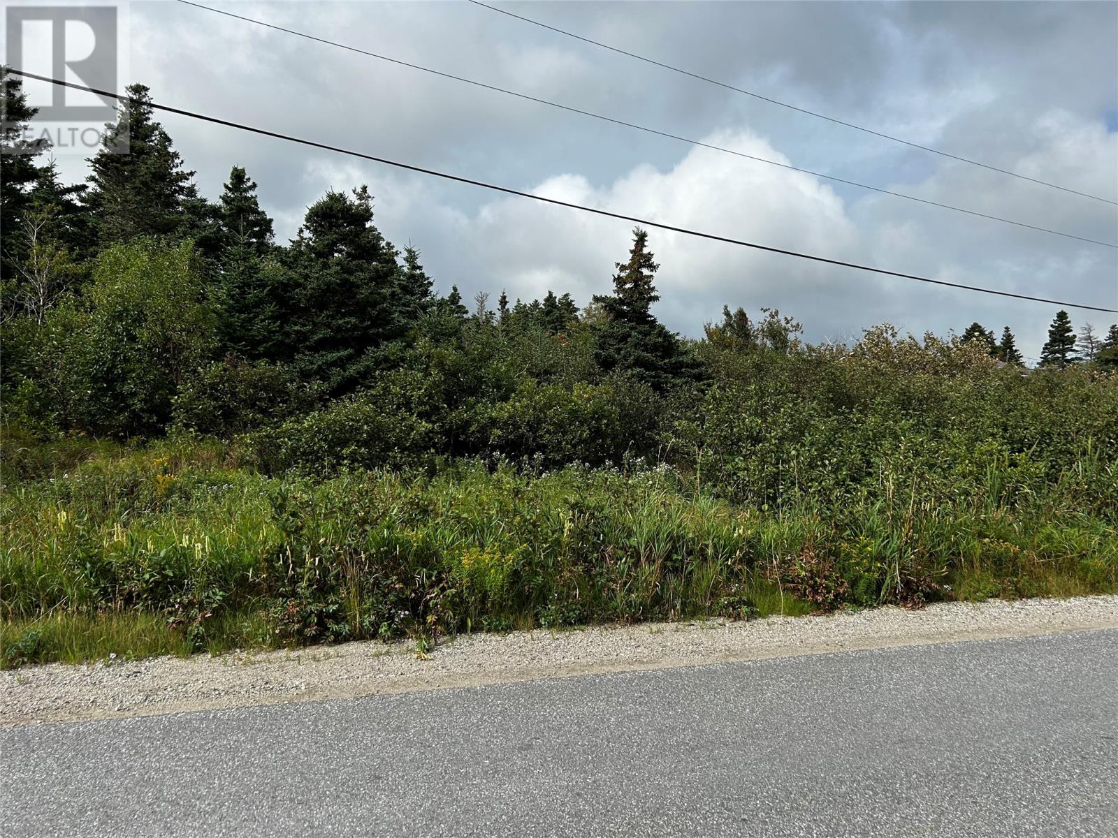 Route 407 Main Route, St Andrews, Newfoundland & Labrador  A0N 1W0 - Photo 2 - 1290641