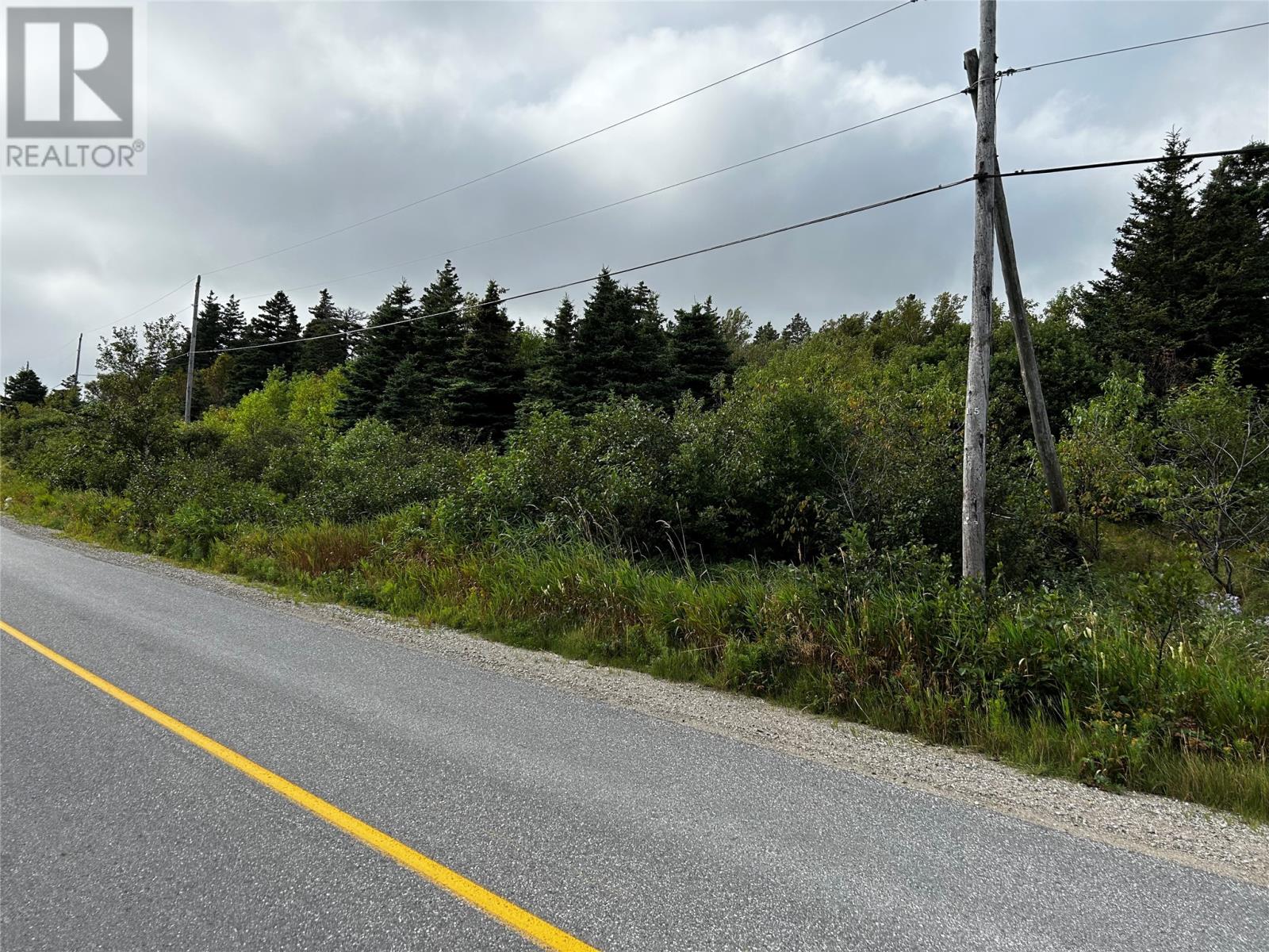 Route 407 Main Route, St Andrews, Newfoundland & Labrador  A0N 1W0 - Photo 3 - 1290641