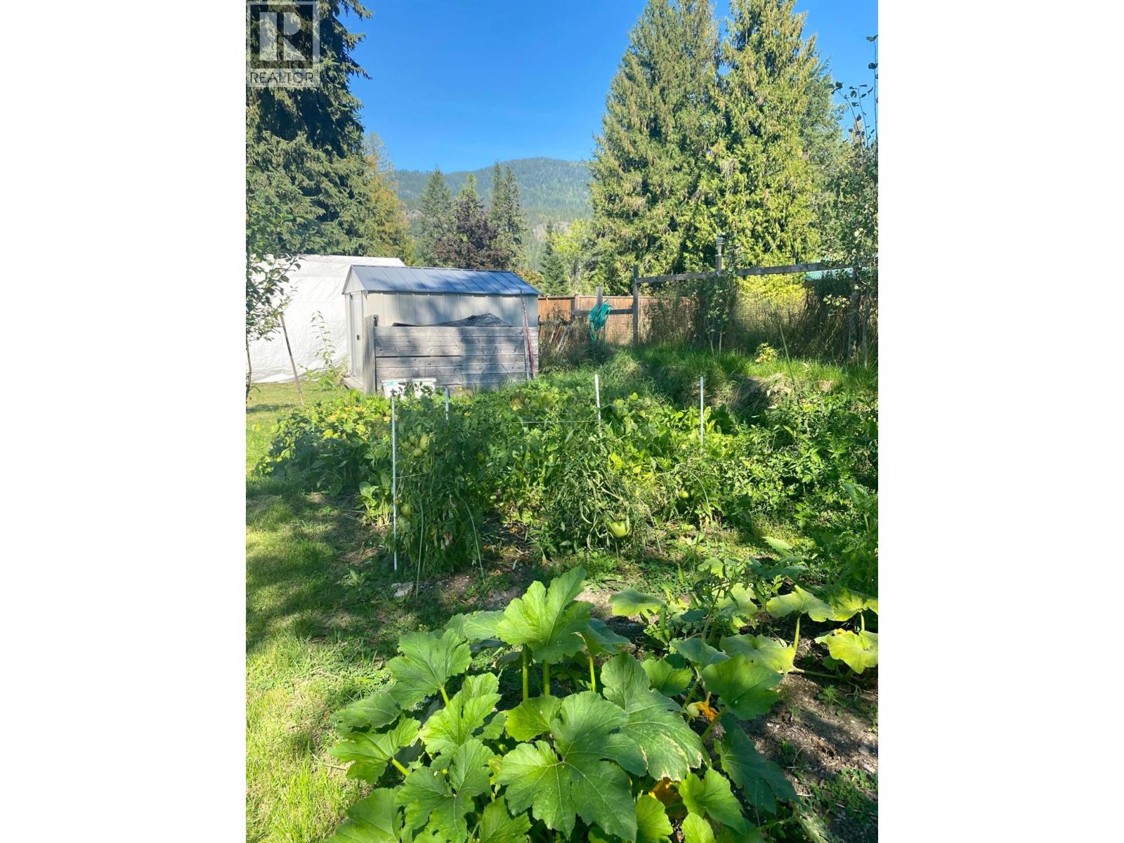 1118 Harold Street, Slocan, British Columbia  V0G 2C0 - Photo 44 - 10363392