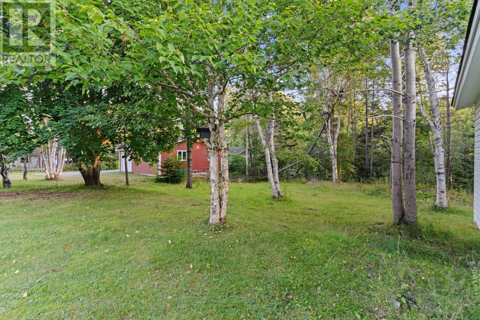 35 Pine Tree Road, Gambo, Newfoundland & Labrador  A0G 1T0 - Photo 4 - 1290626