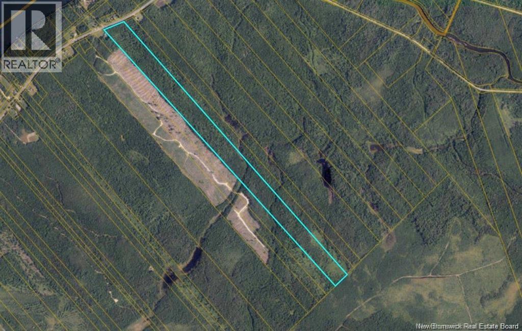 Woodlot Route 118, Chelmsford, New Brunswick