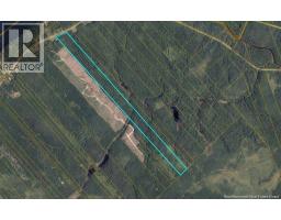 Woodlot Route 118, Chelmsford, New Brunswick