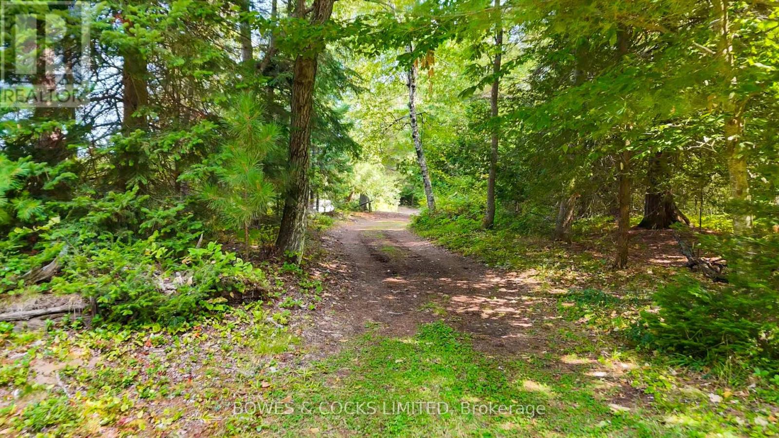 915 Madawaska River Drive, Madawaska Valley, Ontario  K0J 1L0 - Photo 16 - X12412775