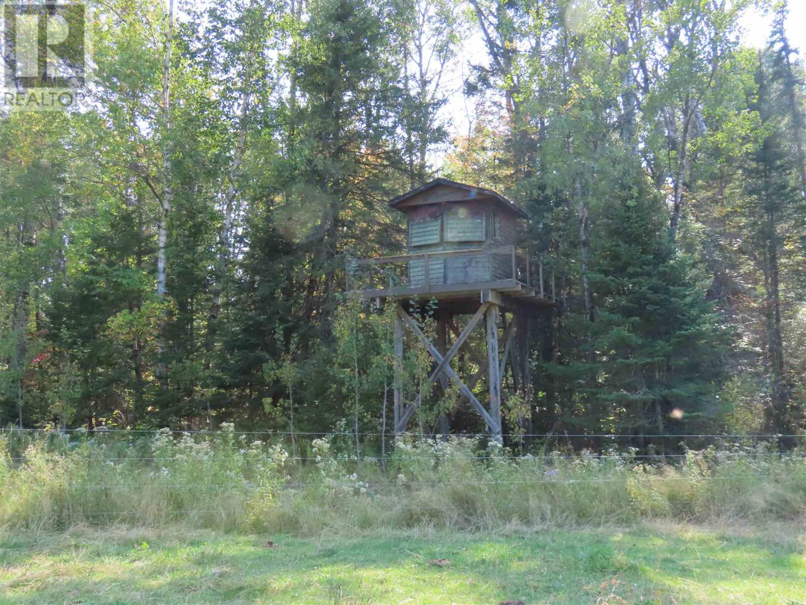 1804 Gordon Lake Rd, Johnson Township, Ontario  P0R 1E0 - Photo 35 - SM252676