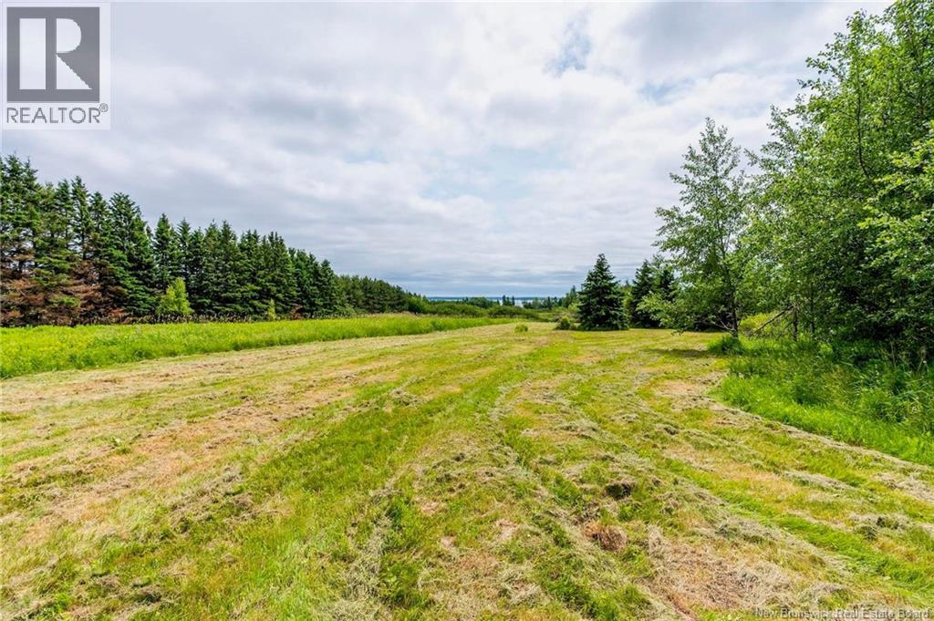 2041 Route 960, Upper Cape, New Brunswick  E4L 1X7 - Photo 40 - NB122083