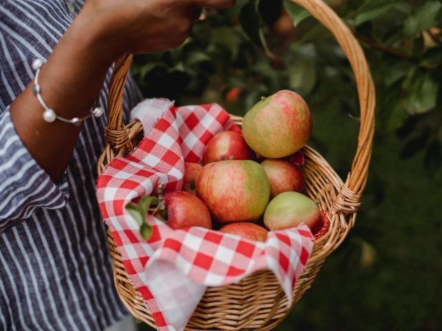 43390 Creekside Circle, Cultus Lake South, Lindell Beach, British Columbia  V2R 0Z4 - Photo 40 - R3049605