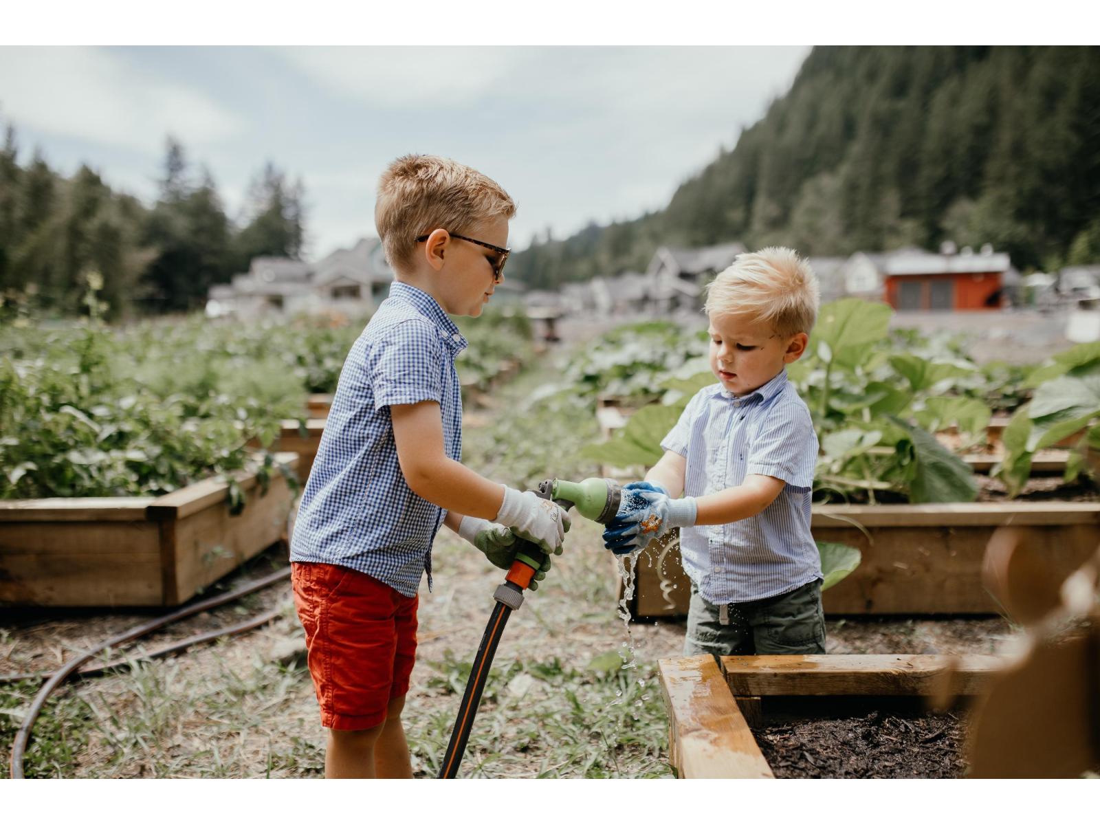 43390 Creekside Circle, Cultus Lake South, Lindell Beach, British Columbia  V2R 0Z4 - Photo 39 - R3049605