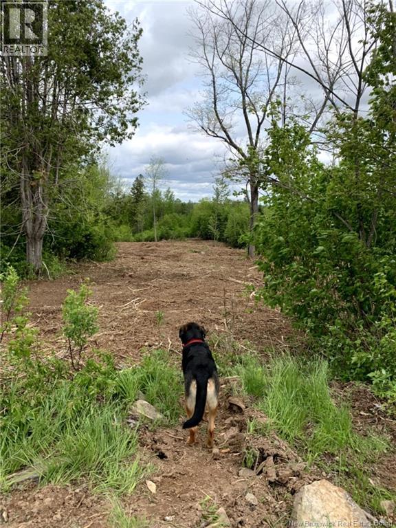 Lot 2 Thompson Road, Kierstead Mountain, New Brunswick  E5P 1X3 - Photo 12 - NB127020