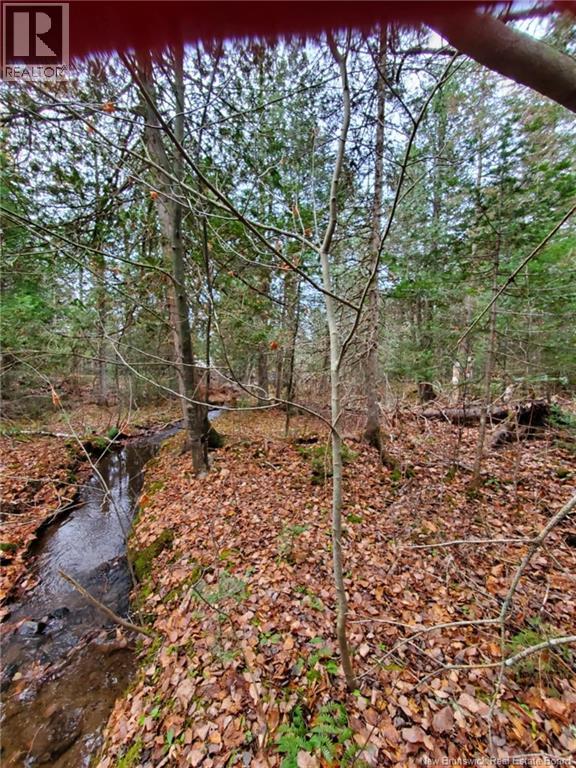 Lot 2 Thompson Road, Kierstead Mountain, New Brunswick  E5P 1X3 - Photo 3 - NB127020