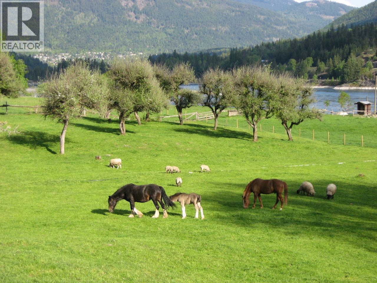 6302 MARSDEN Road, Nelson, British Columbia