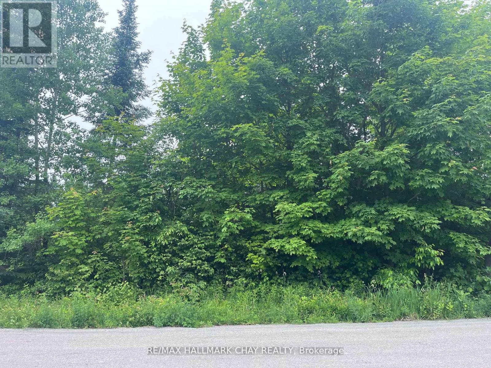 0 Hurdville Road, Mckellar, Ontario  P2A 0B5 - Photo 2 - X12412751