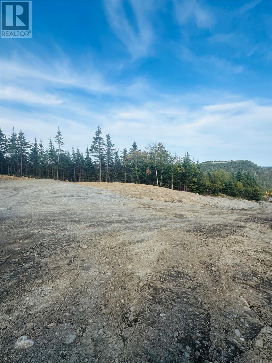 7 Main Road, Tors Cove, Newfoundland & Labrador   - Photo 5 - 1264779