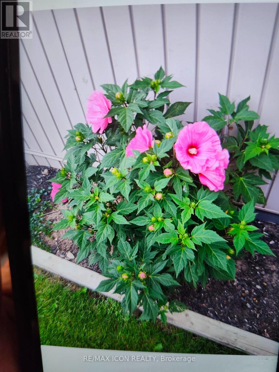 102 Byeland Drive, Wellington North, Ontario  N0G 2L2 - Photo 38 - X12412965