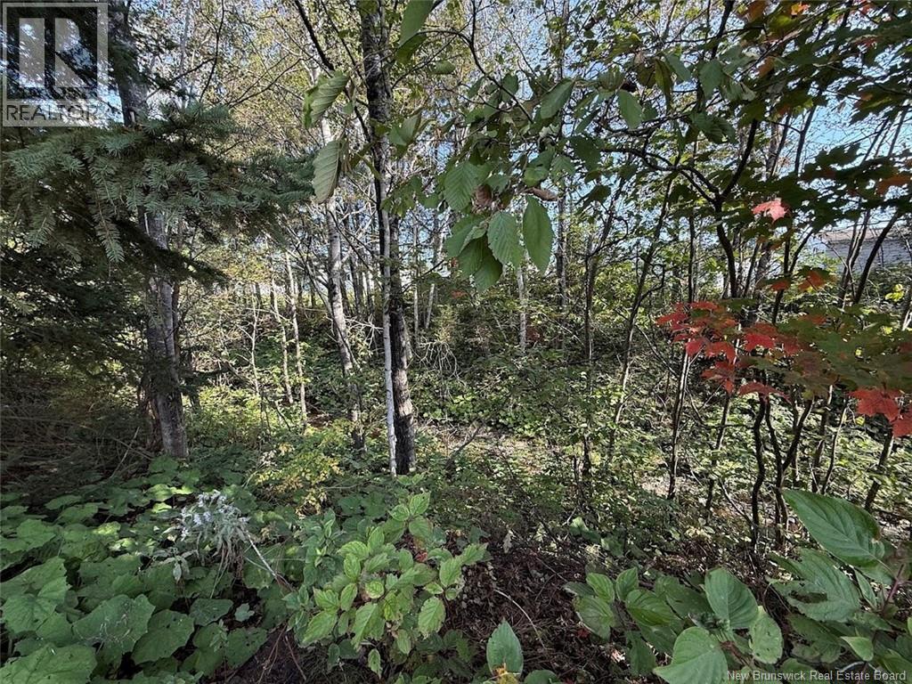 4 Lavallée Street, Saint-Jacques, New Brunswick  E7B 1T3 - Photo 21 - NB126954