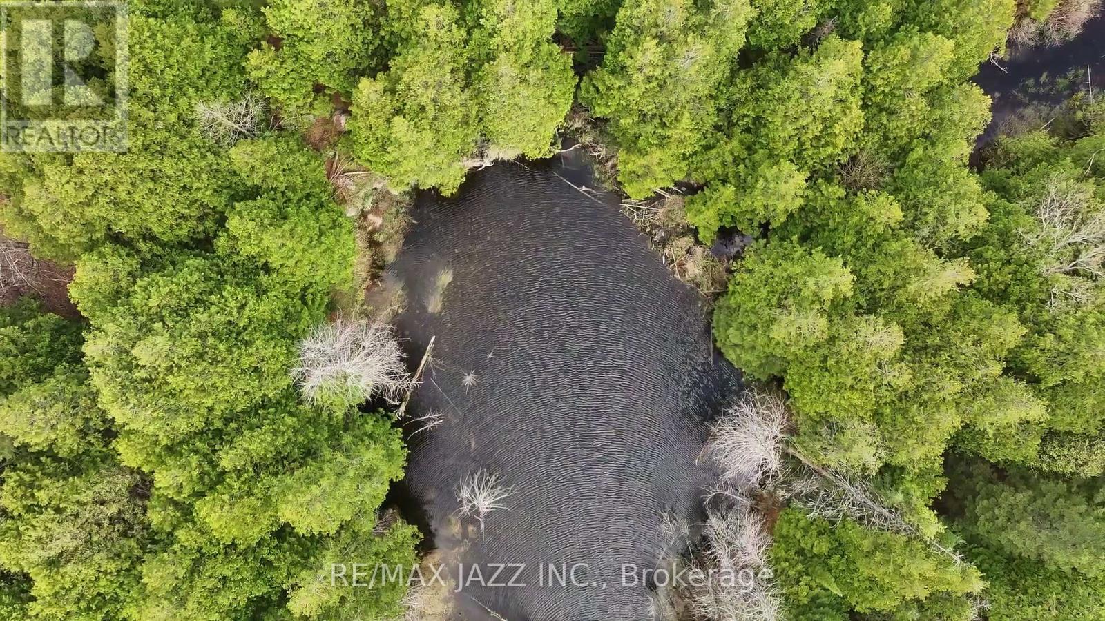 1670 Daley Road, Tyendinaga, Ontario  K0K 2W0 - Photo 13 - X12413202