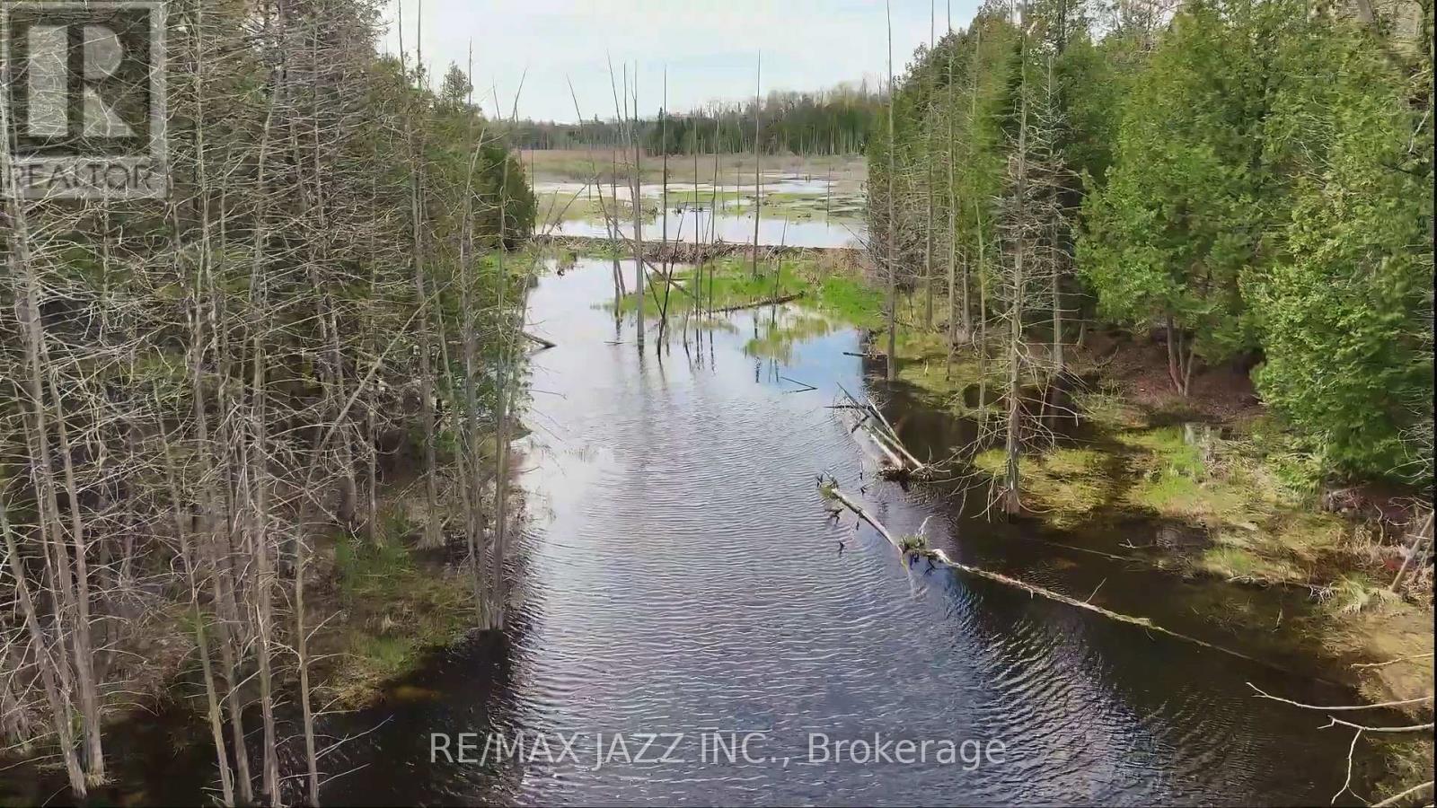 1670 Daley Road, Tyendinaga, Ontario  K0K 2W0 - Photo 14 - X12413202