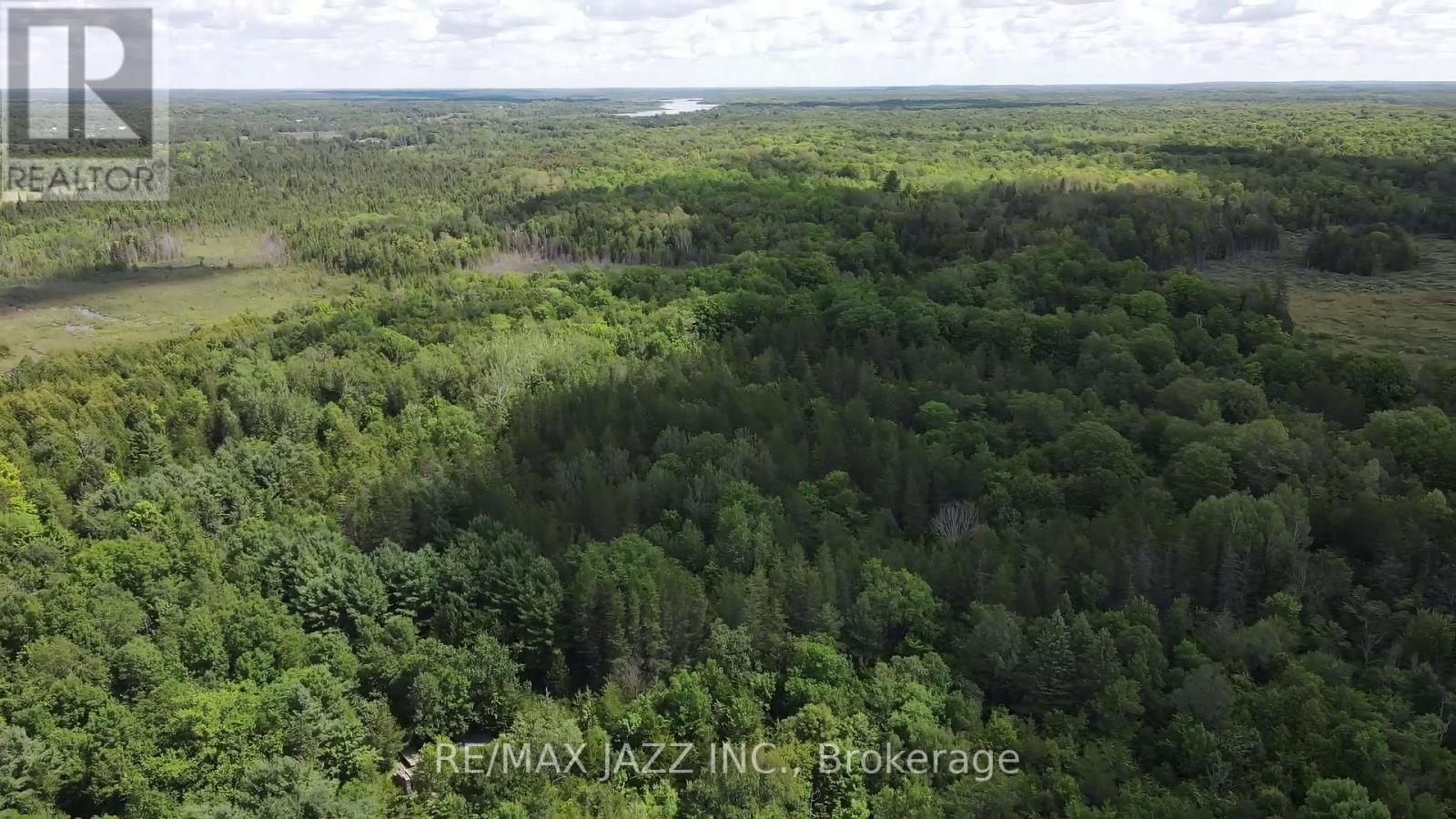 1670 Daley Road, Tyendinaga, Ontario  K0K 2W0 - Photo 4 - X12413202