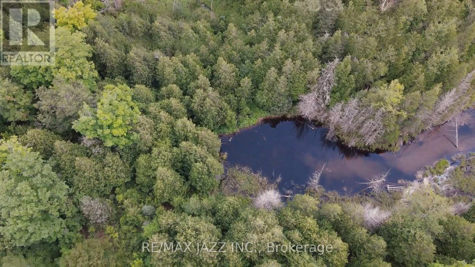 1670 Daley Road, Tyendinaga, Ontario  K0K 2W0 - Photo 5 - X12413202