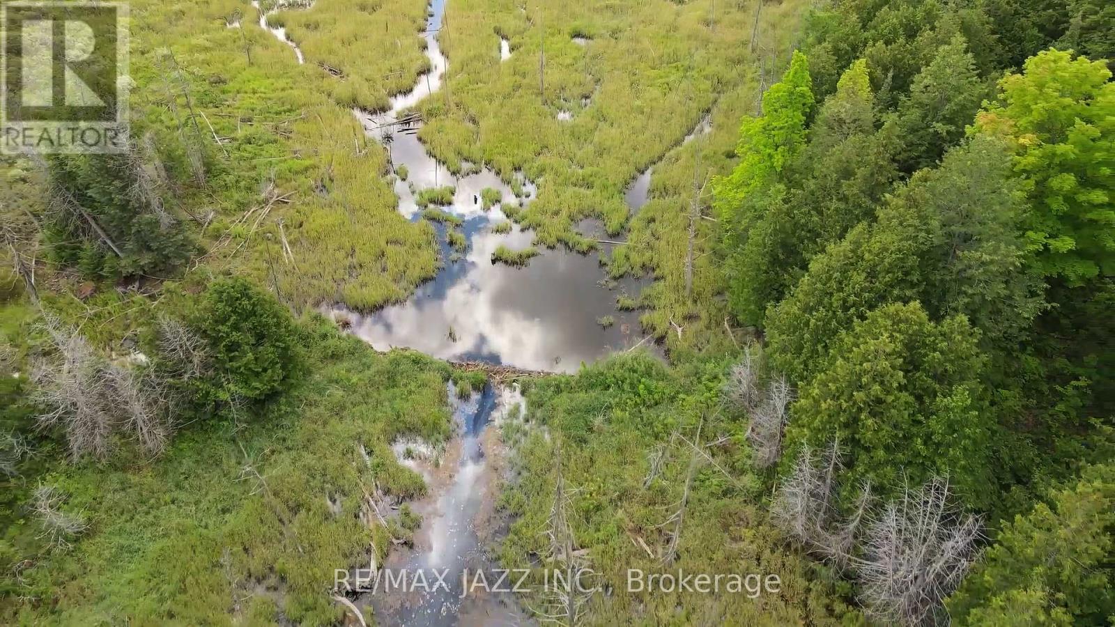 1670 Daley Road, Tyendinaga, Ontario  K0K 2W0 - Photo 6 - X12413202