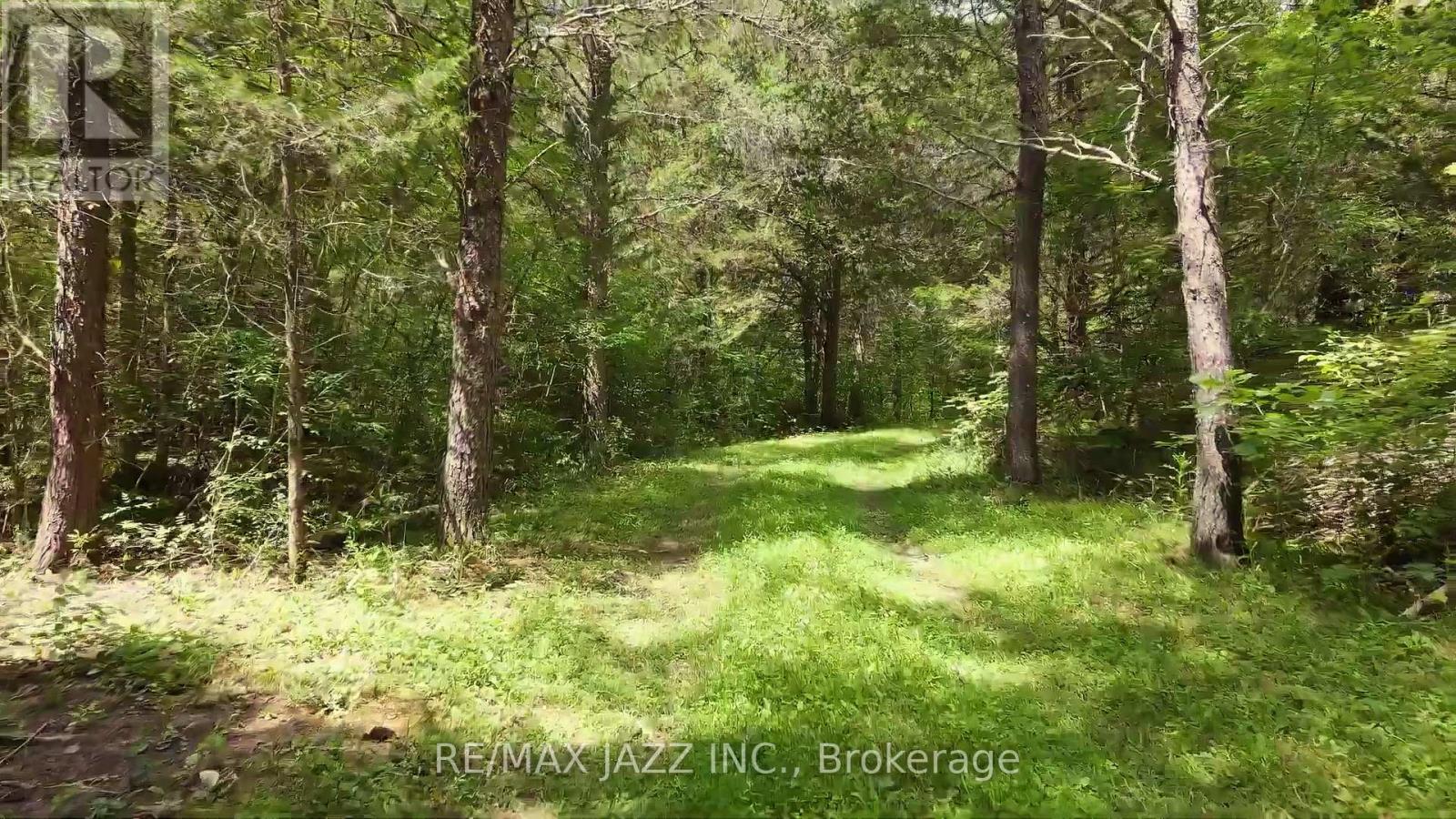 1670 Daley Road, Tyendinaga, Ontario  K0K 2W0 - Photo 9 - X12413202