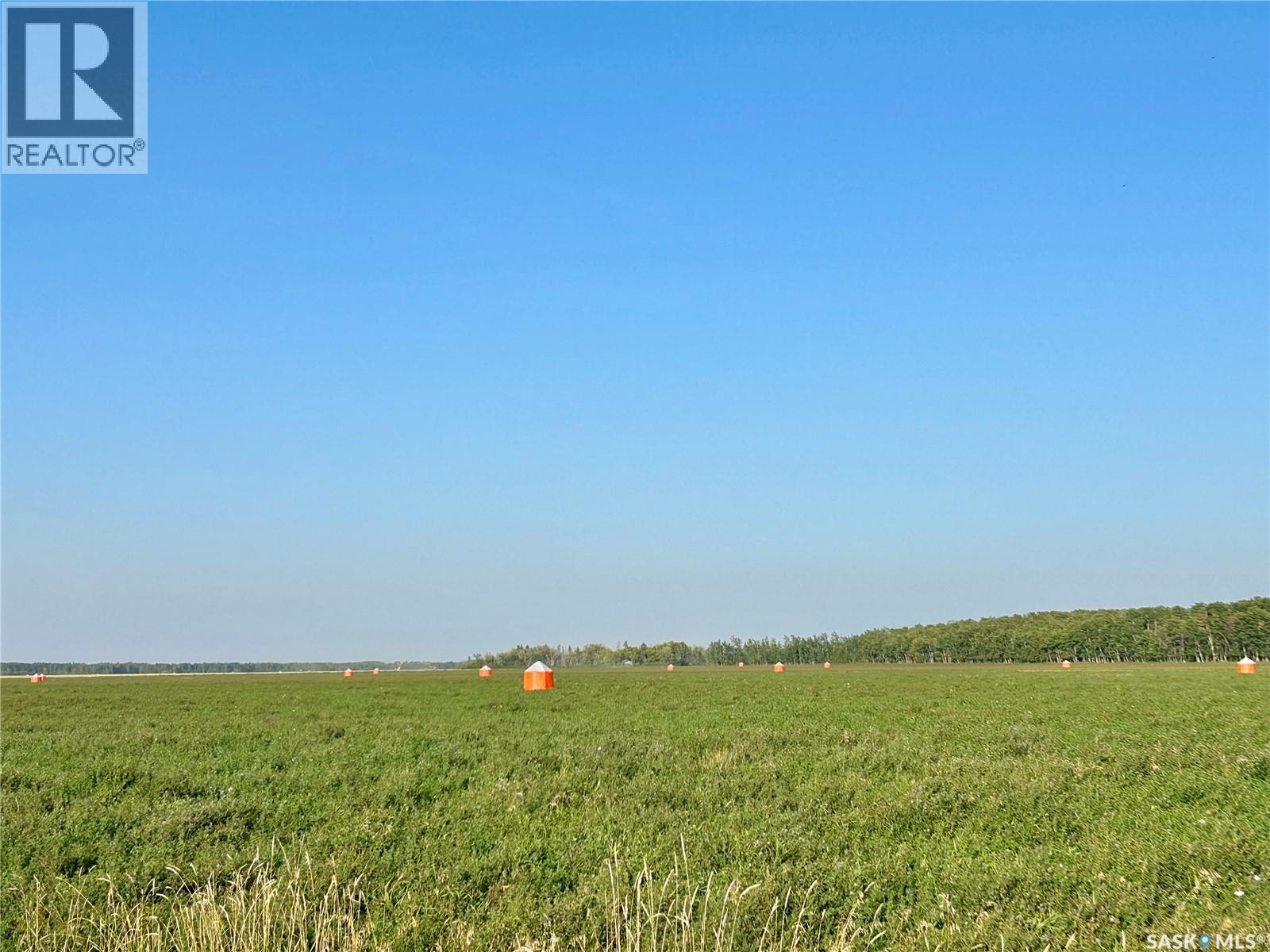 Cragg Home Quarter, Arborfield Rm No. 456, Saskatchewan  S0E 0A0 - Photo 50 - SK018780