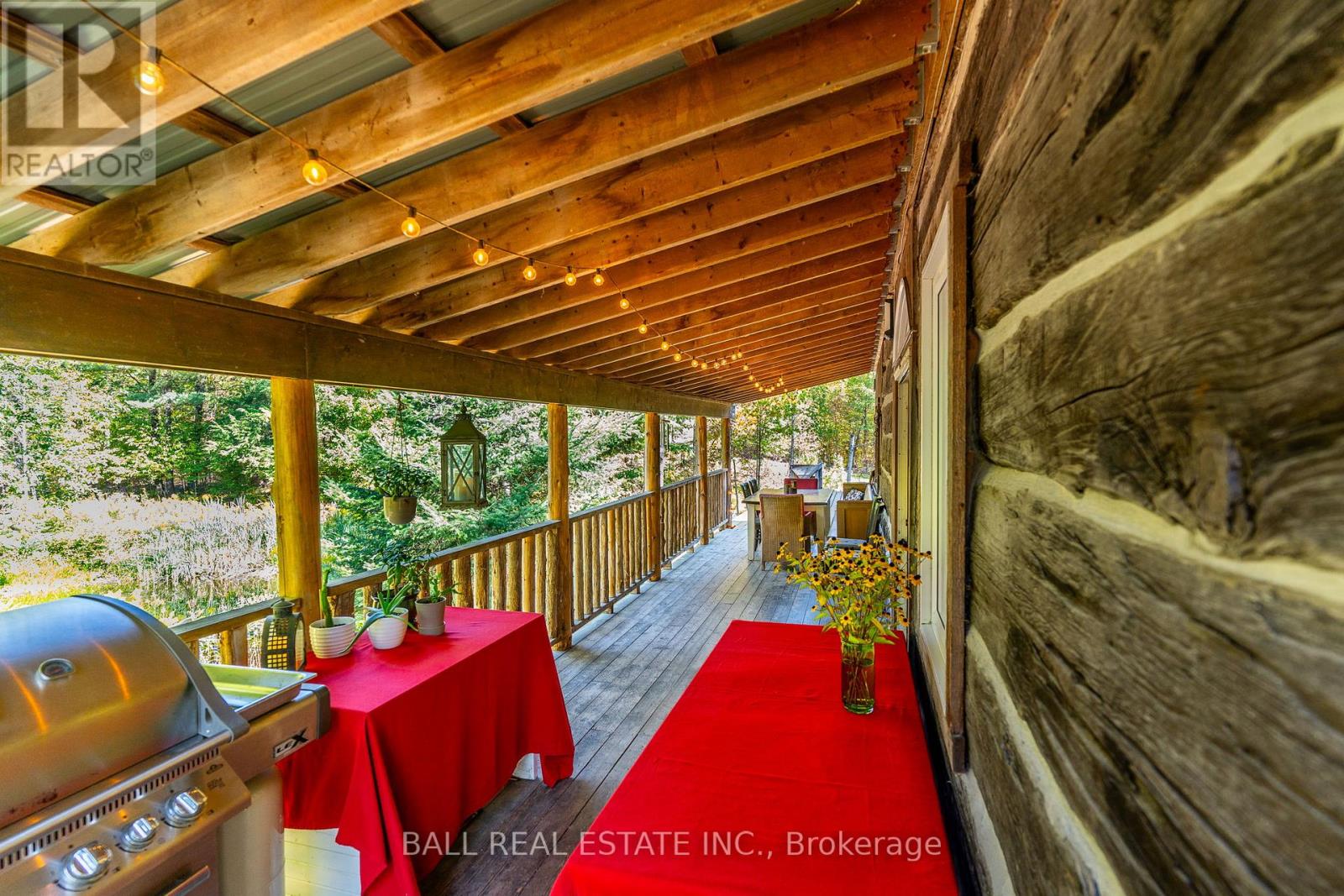 221 Edwina Drive, Trent Lakes, Ontario  K0M 1A0 - Photo 23 - X12413383