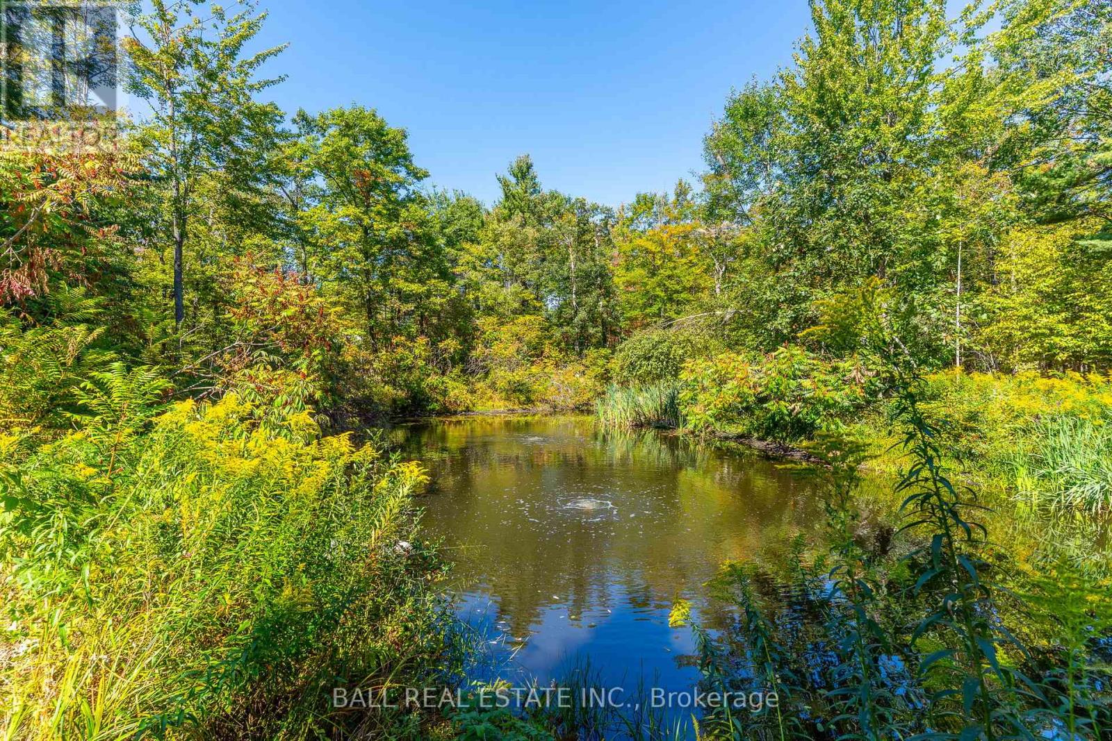 221 Edwina Drive, Trent Lakes, Ontario  K0M 1A0 - Photo 48 - X12413383