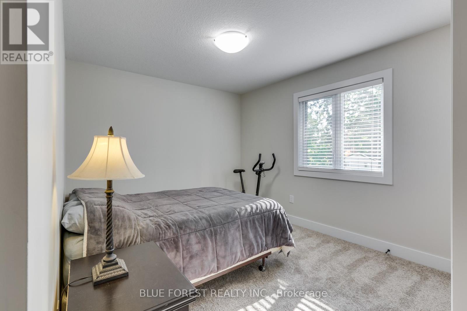 146 Concession Street, Ingersoll, Ontario  N5C 3K8 - Photo 17 - X12413343