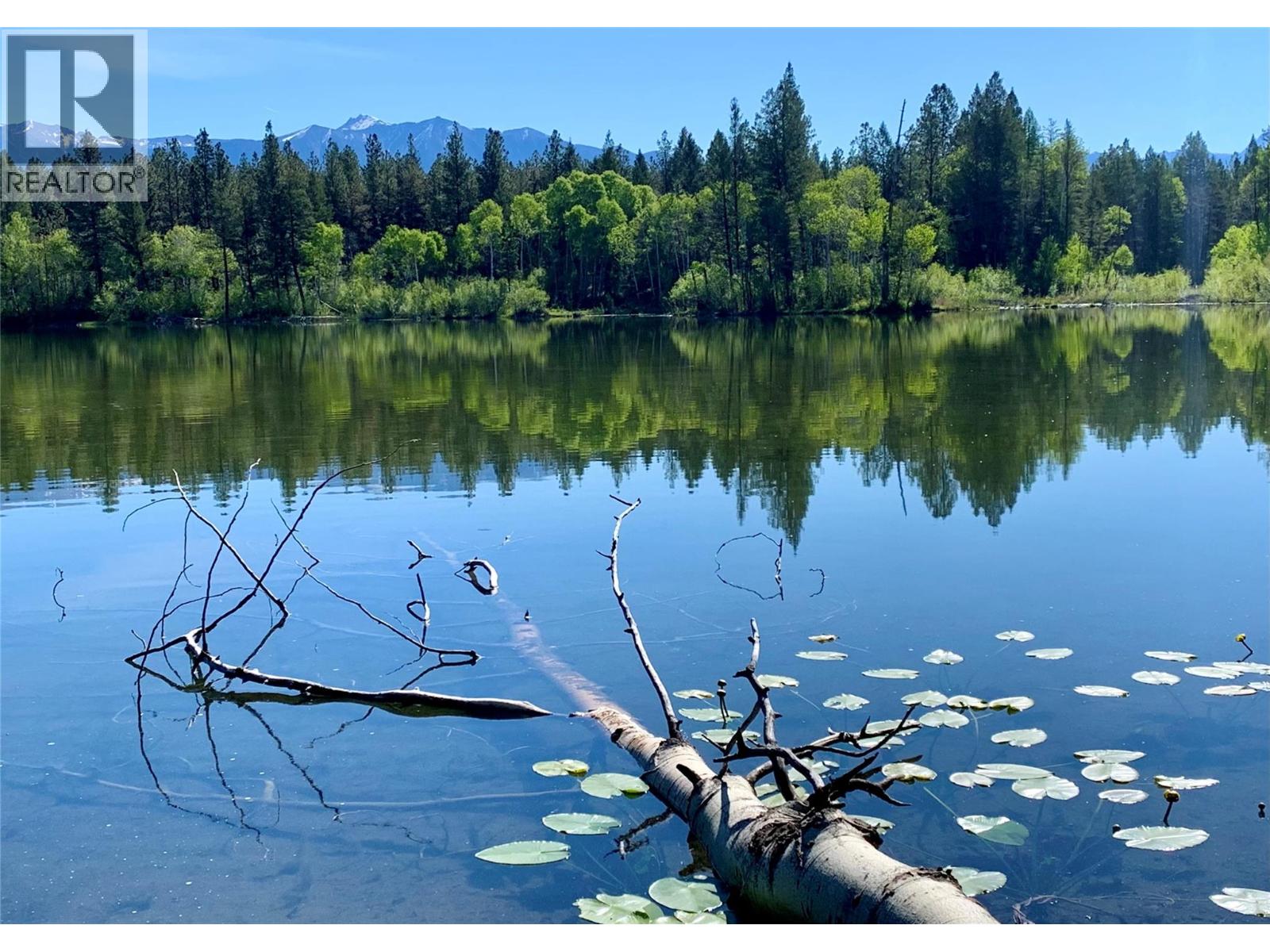 4165 Ld Ranch Road, Kimberley, British Columbia  V1A 3L4 - Photo 60 - 10363438