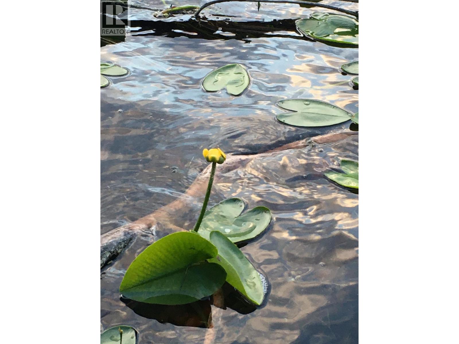 4165 Ld Ranch Road, Kimberley, British Columbia  V1A 3L4 - Photo 64 - 10363438