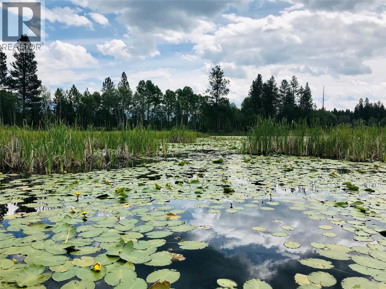 4165 Ld Ranch Road, Kimberley, British Columbia  V1A 3L4 - Photo 65 - 10363438