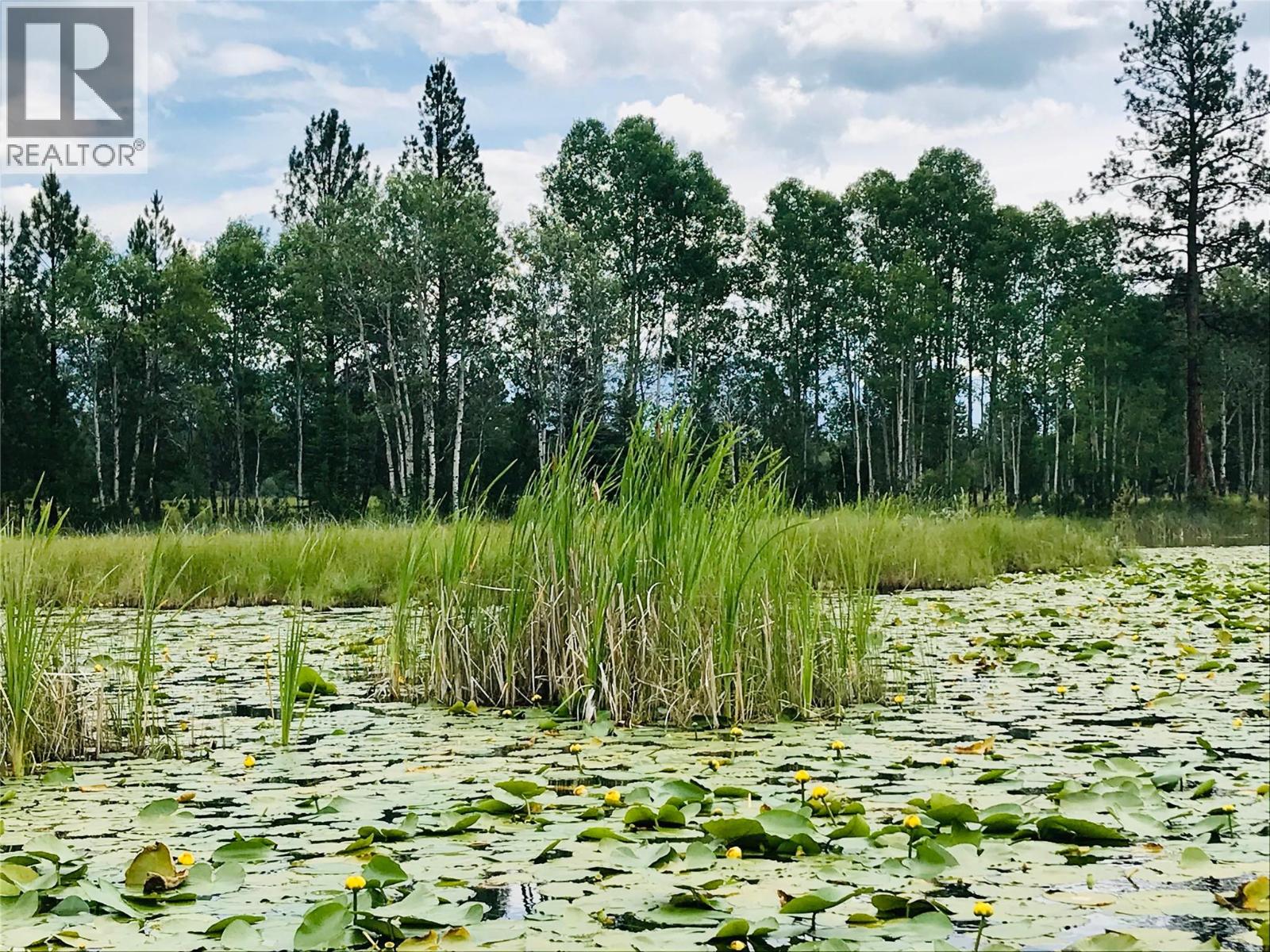 4165 Ld Ranch Road, Kimberley, British Columbia  V1A 3L4 - Photo 66 - 10363438
