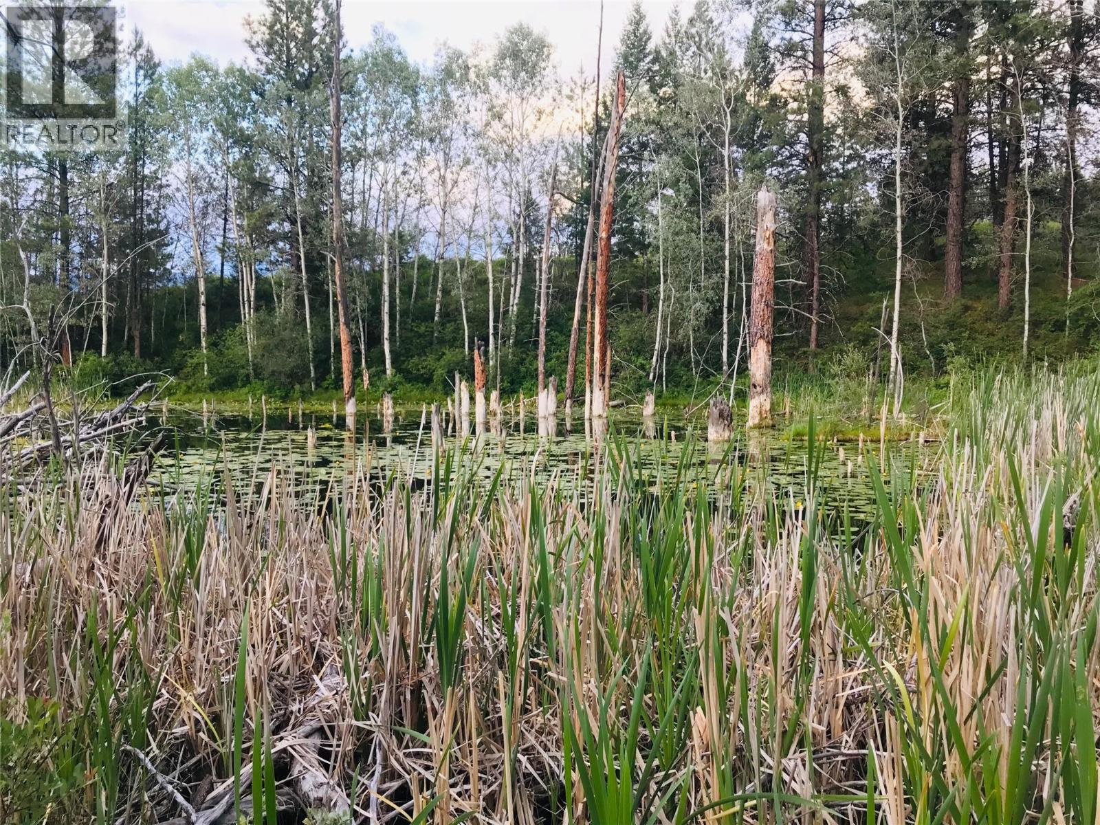 4165 Ld Ranch Road, Kimberley, British Columbia  V1A 3L4 - Photo 67 - 10363438