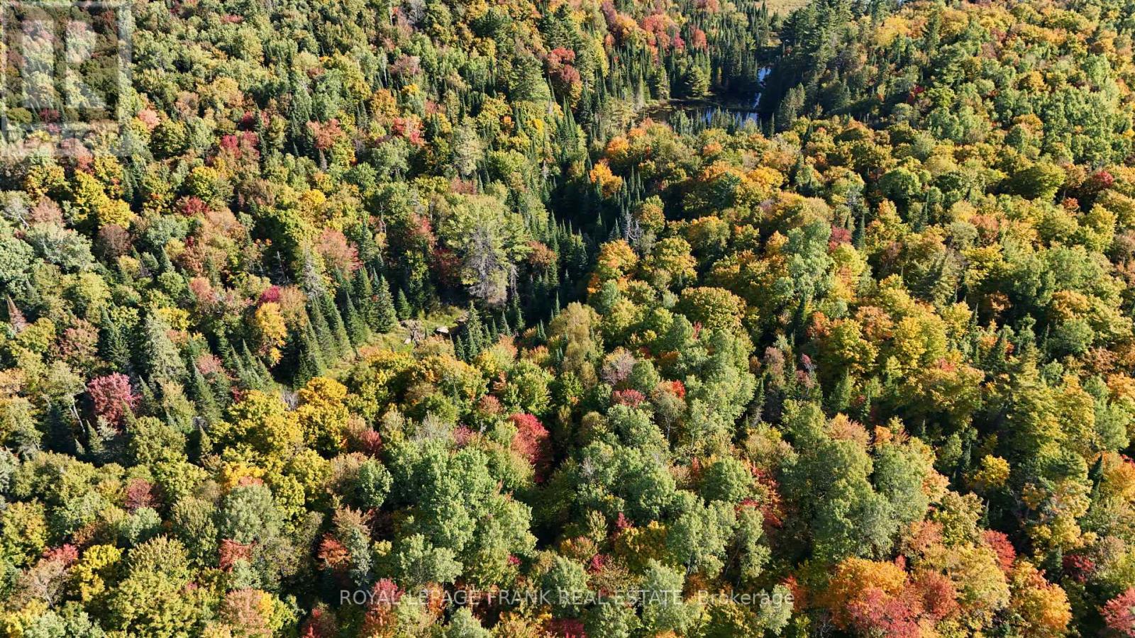 0 Peterson Road, Hastings Highlands, Ontario K0L 2S0 - Photo 21 - X12413415