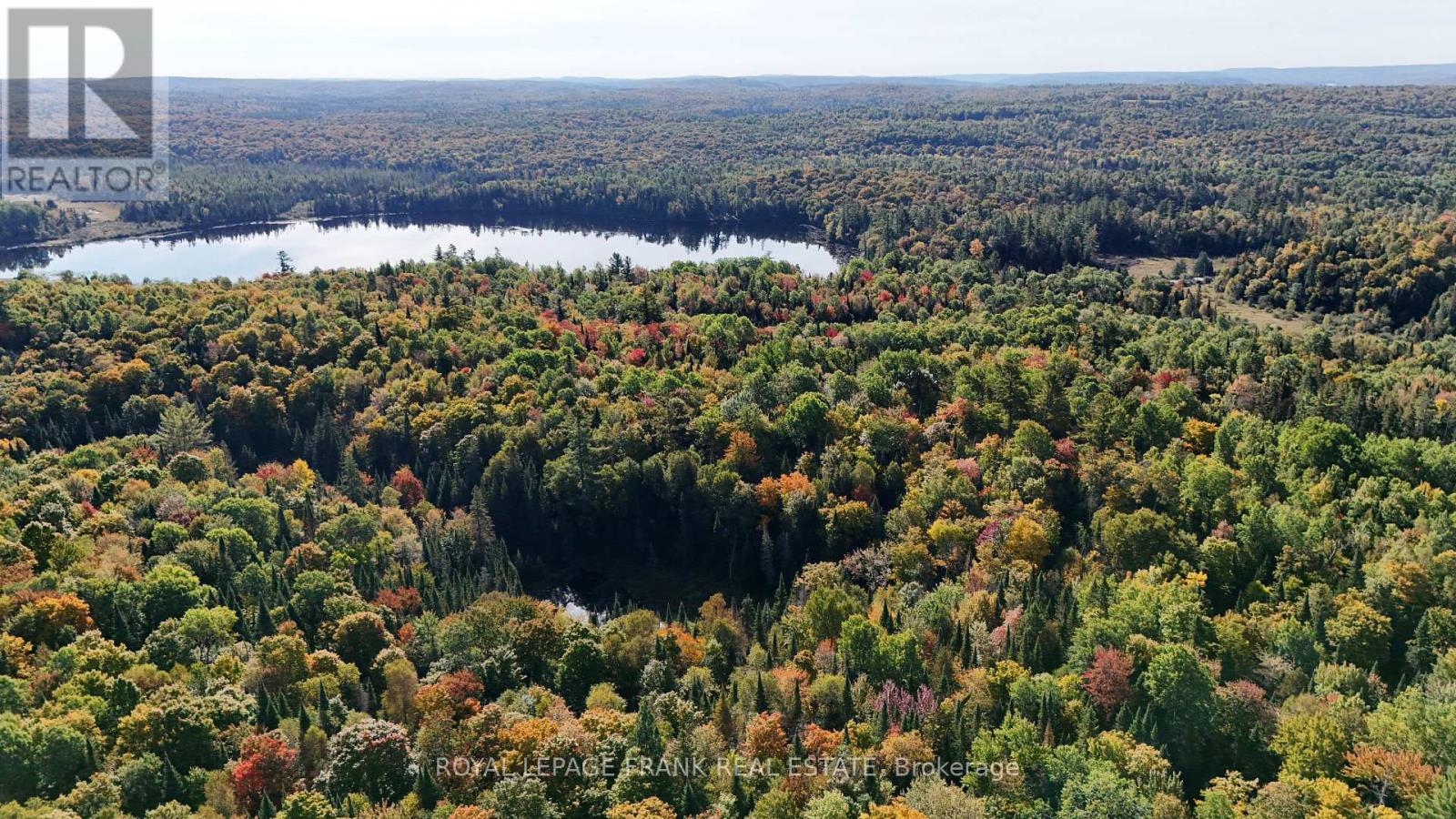 0 Peterson Road, Hastings Highlands, Ontario K0L 2S0 - Photo 22 - X12413415