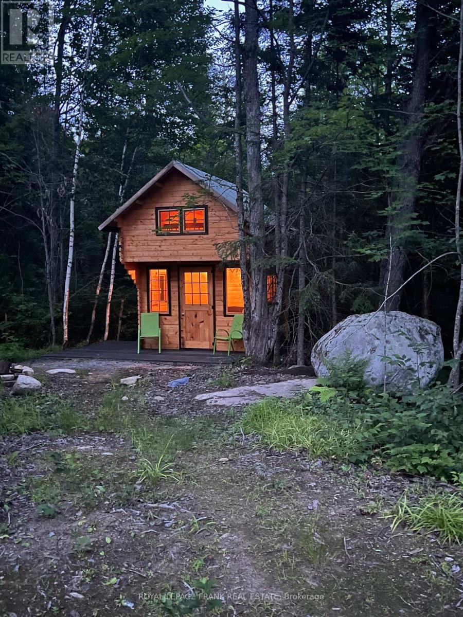 0 Peterson Road, Hastings Highlands, Ontario K0L 2S0 - Photo 5 - X12413415