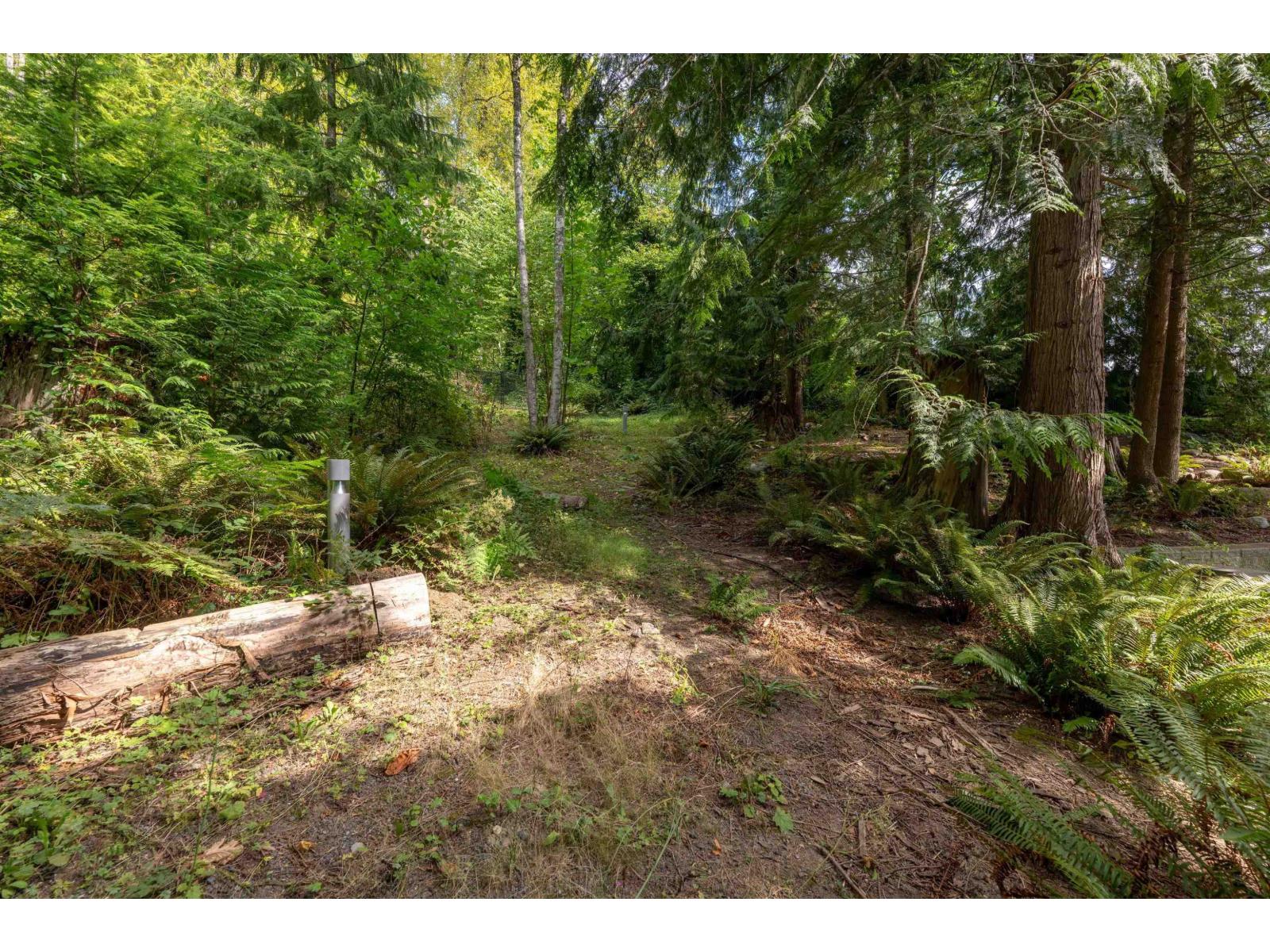 47903 Hansom Road, Chilliwack River Valley, Chilliwack, British Columbia  V2R 4R9 - Photo 35 - R3049610
