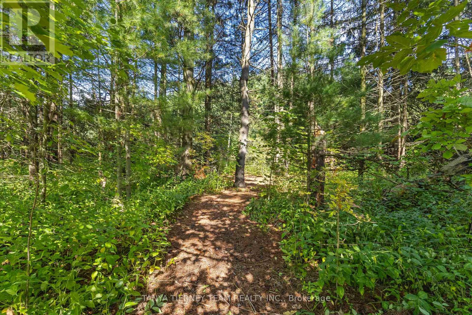 57 Ward Street, Whitby, Ontario  L1M 1G9 - Photo 47 - E12413576