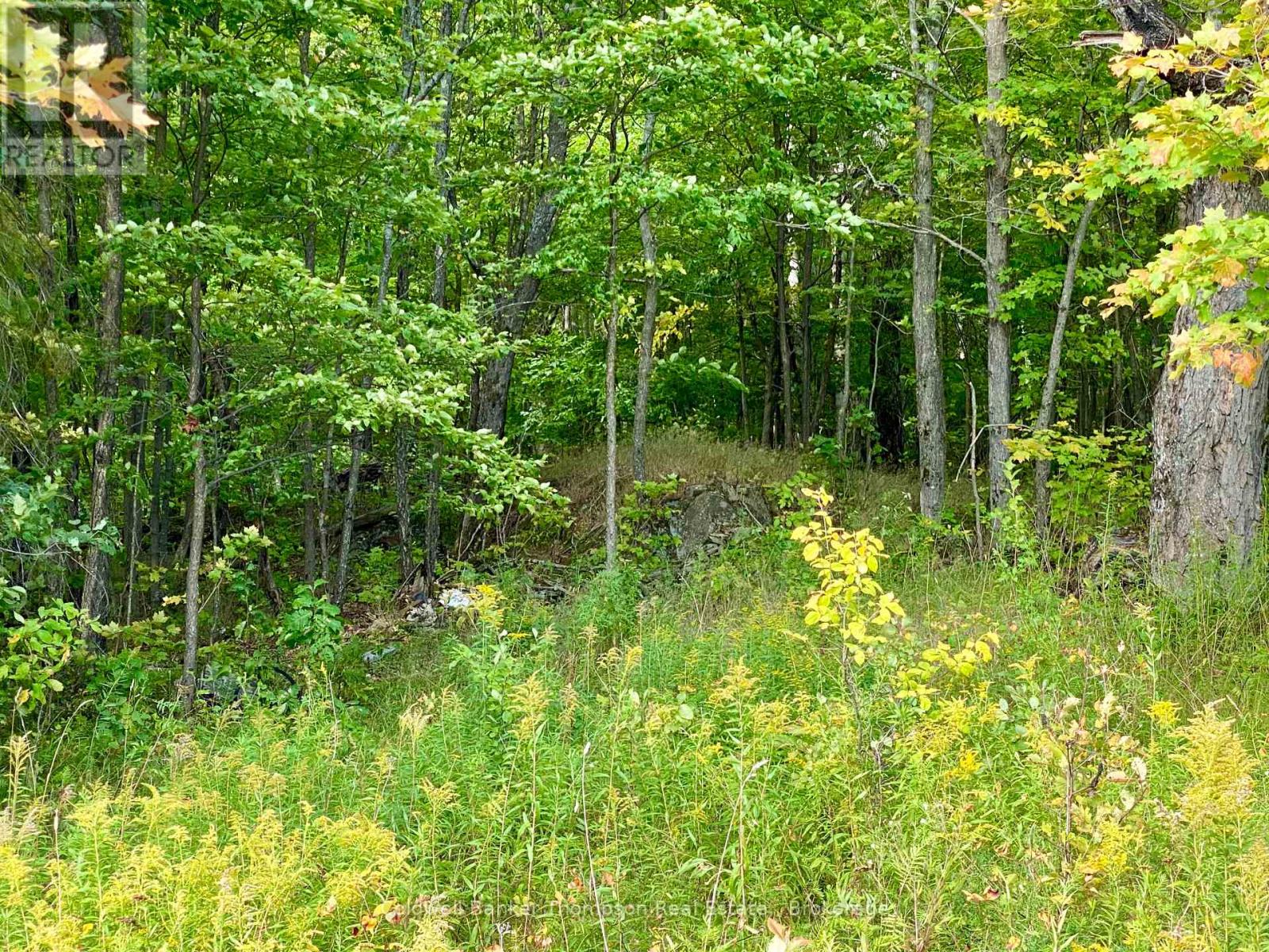 0 Clear Lake Road N, Parry Sound Remote Area, Ontario  P0H 1A0 - Photo 3 - X12413632