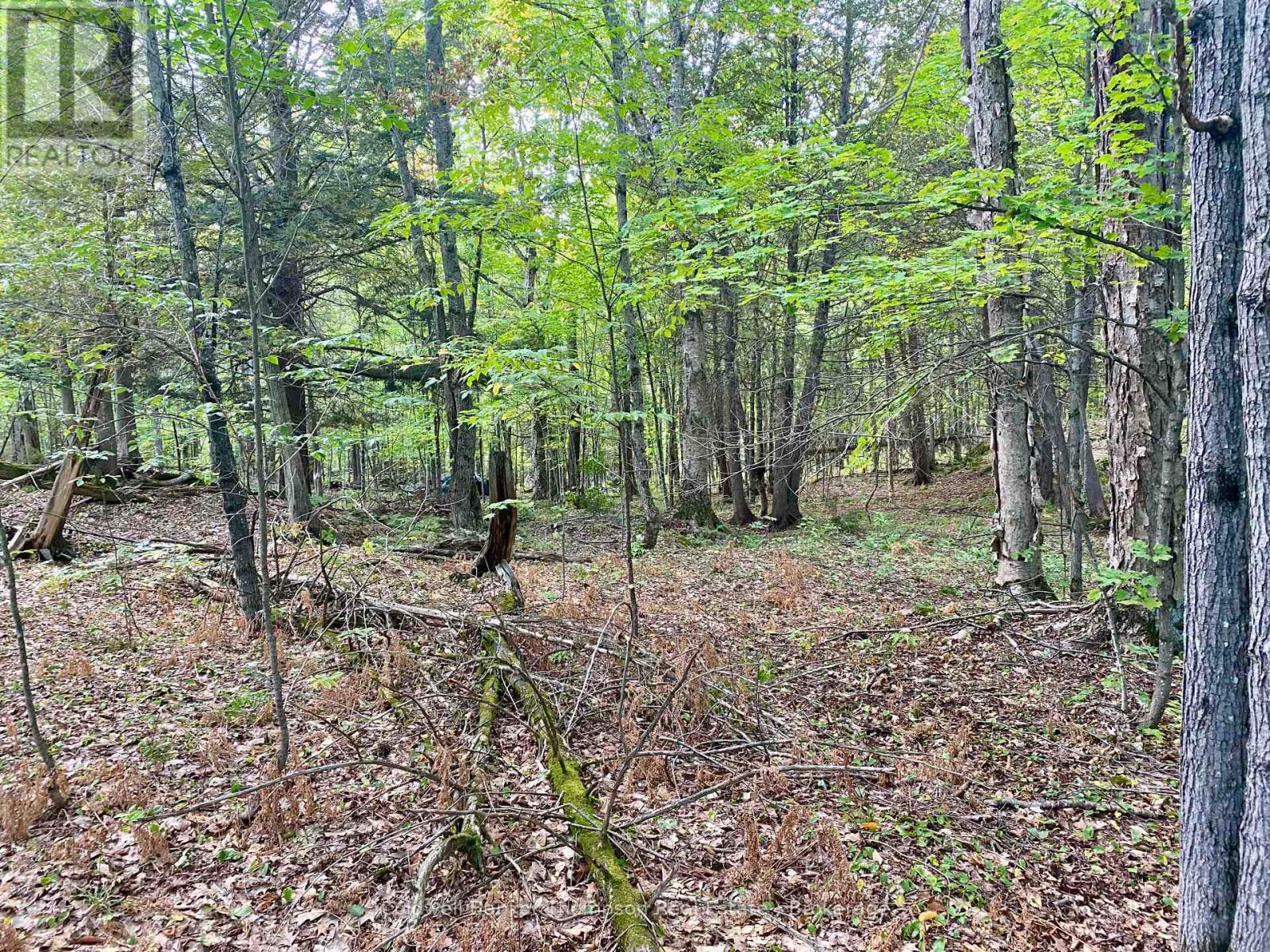 0 Clear Lake Road N, Parry Sound Remote Area, Ontario  P0H 1A0 - Photo 6 - X12413632