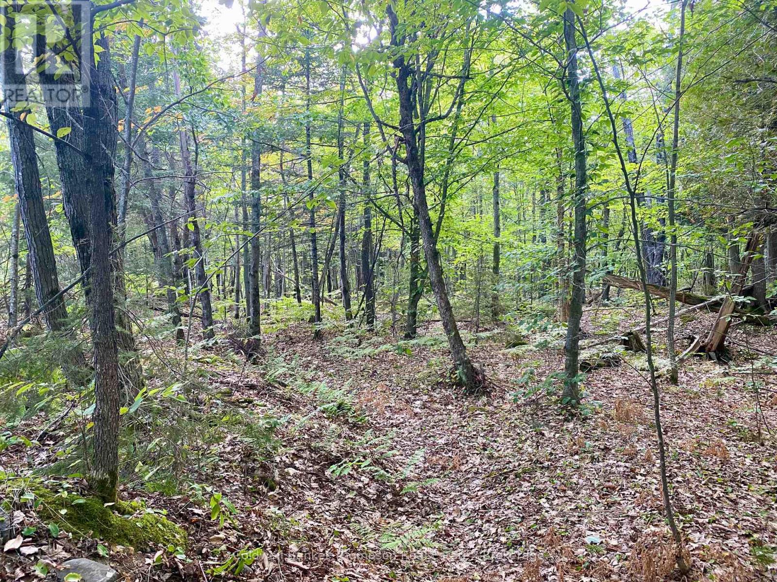 0 Clear Lake Road N, Parry Sound Remote Area, Ontario  P0H 1A0 - Photo 8 - X12413632