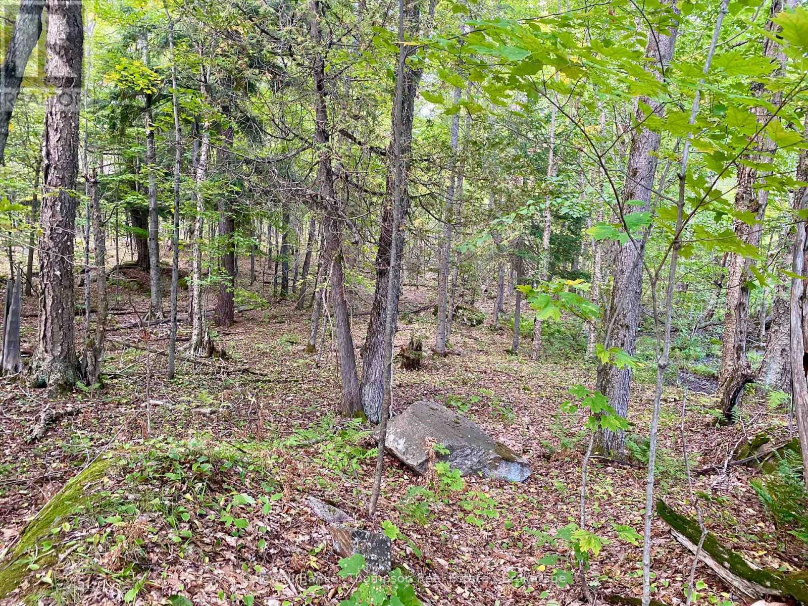 0 Clear Lake Road N, Parry Sound Remote Area, Ontario  P0H 1A0 - Photo 9 - X12413632
